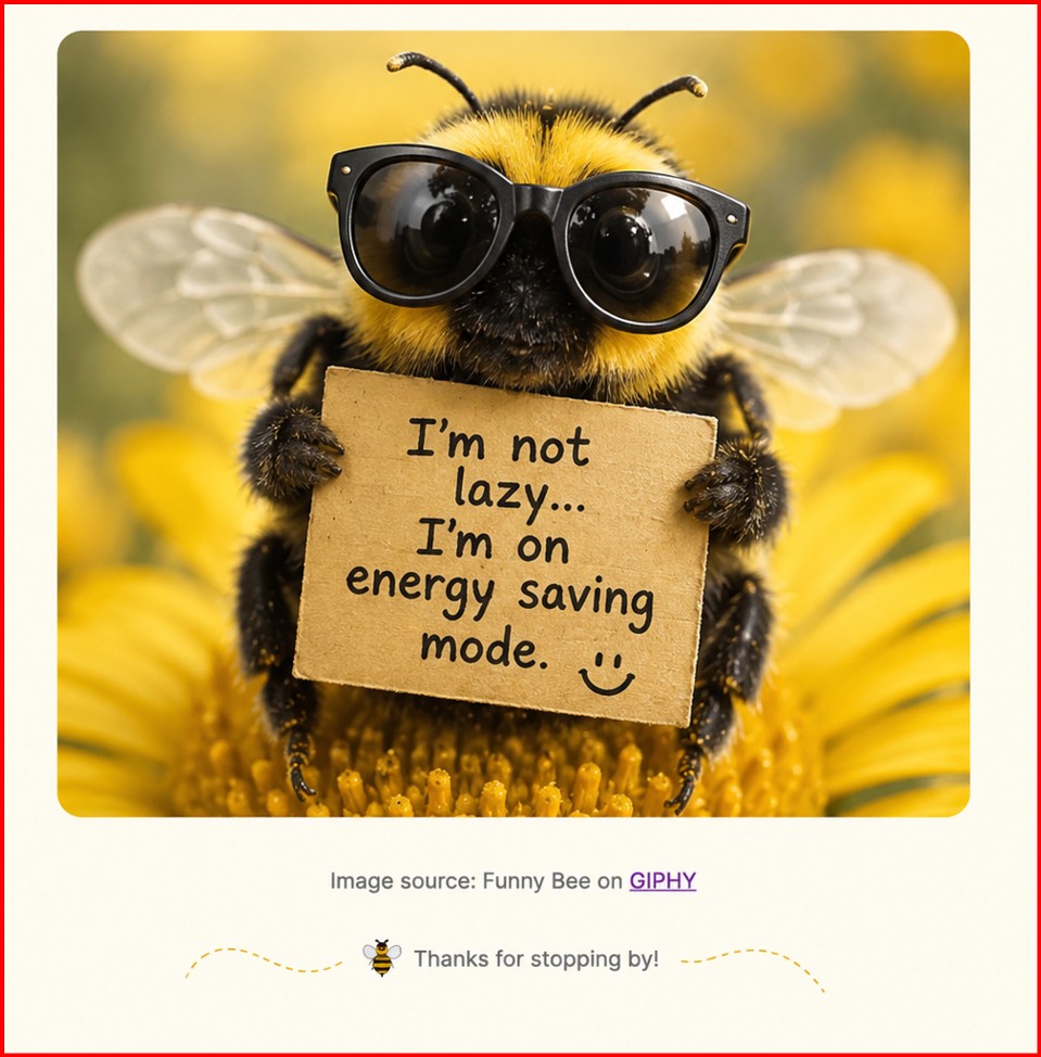 Funny bee